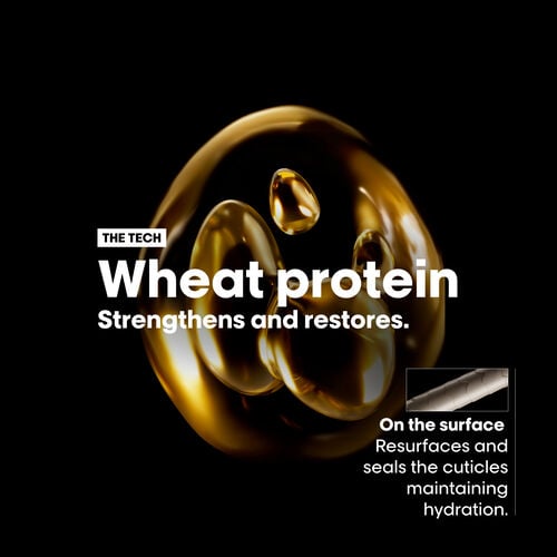 Absolut Repair Golden Mask for Dry and Damaged Hair - L'Or&eacute;al Professionnel | L'Or&eacute;al Partner Shop