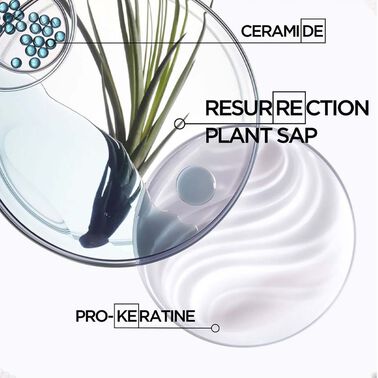 Resistance Bain Force Architecte - Kérastase | L'Oréal Partner Shop