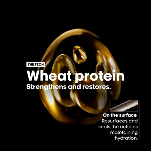 Absolut Repair Oil for Dry and Damaged Hair - L'Oreal Professionnel | L'Or&eacute;al Partner Shop